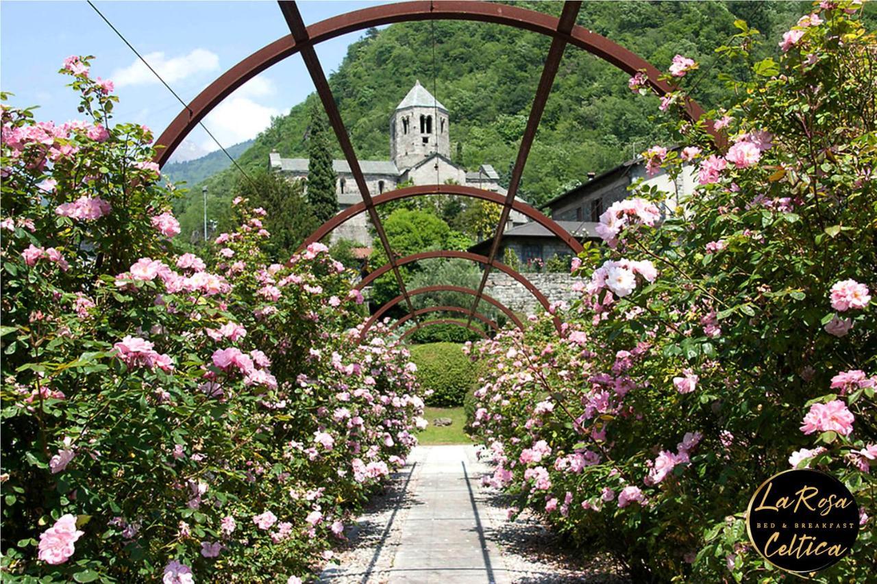 B&B La Rosa Celtica Capo di Ponte Bagian luar foto